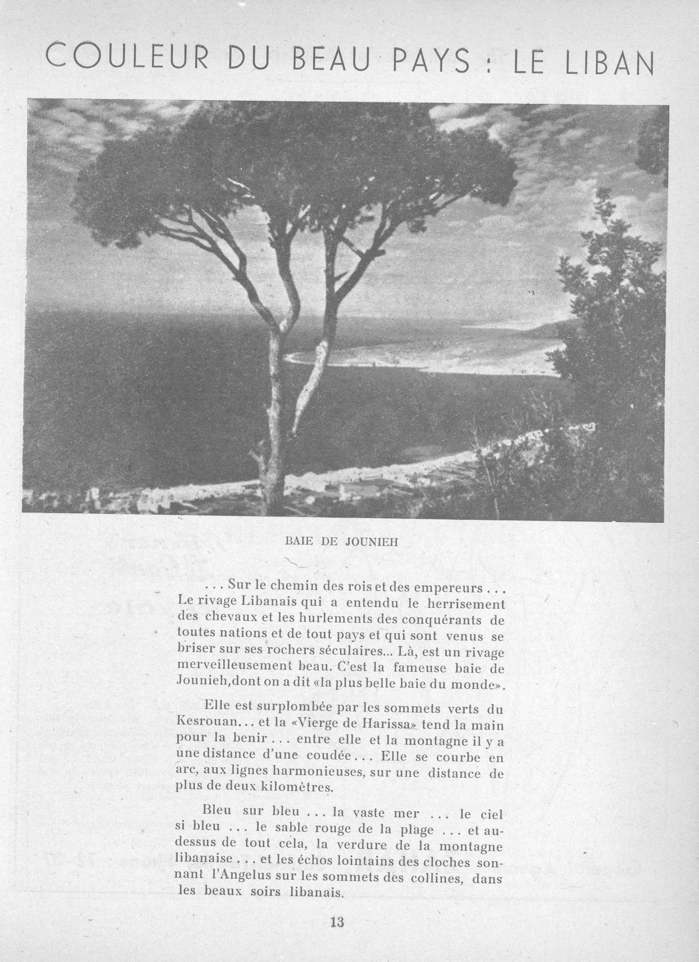 Scan of page 48