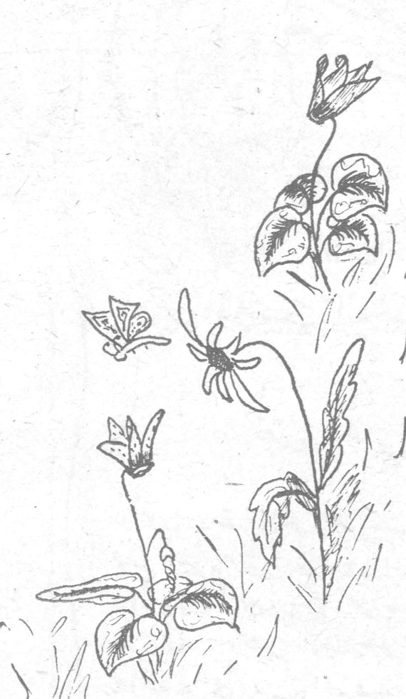 رسم أزهار وفراشات