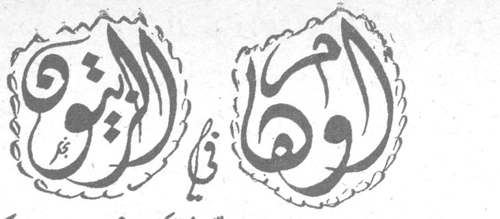أوهام في الزيتون