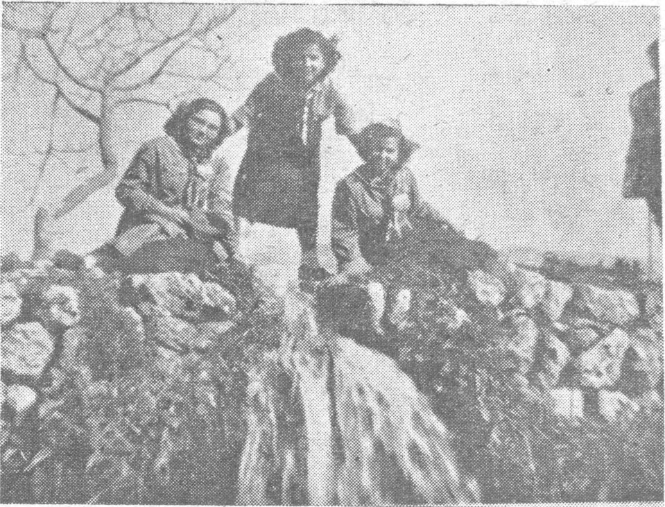 صورة مرشدات مع الطبيعة