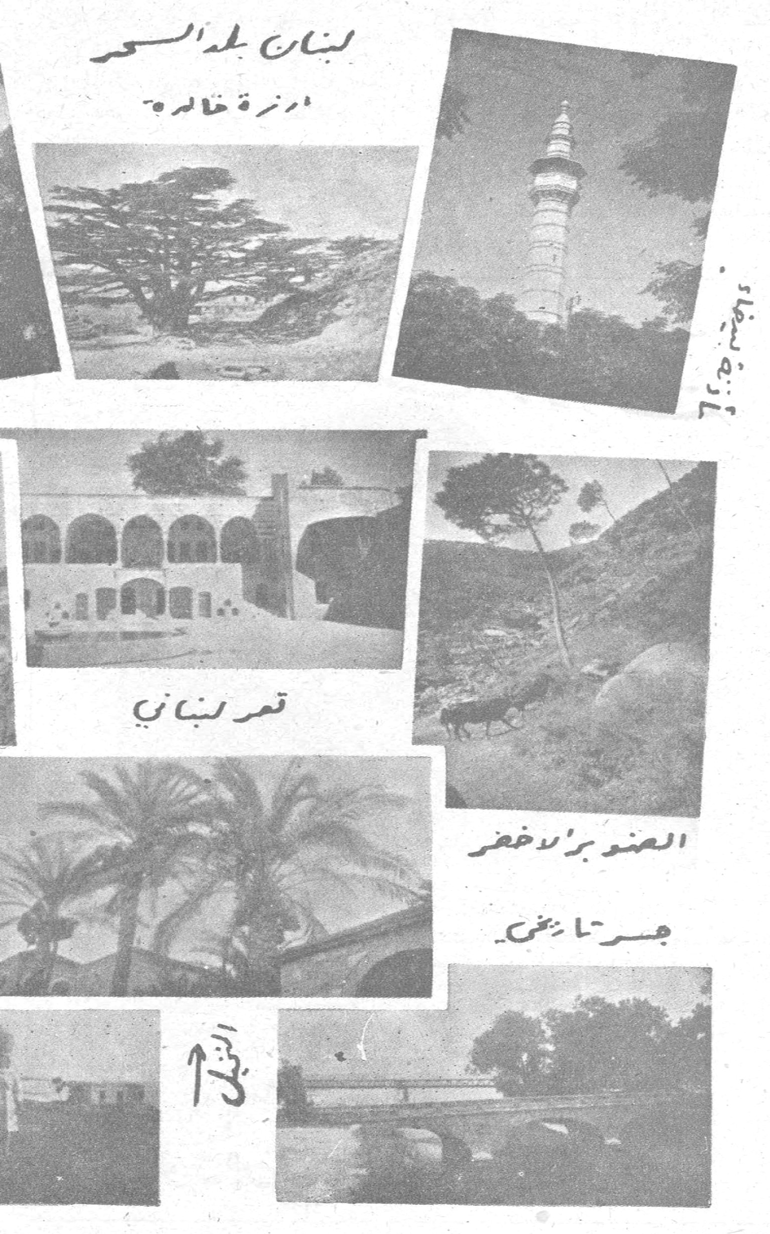 لبنان بلد السحر لبنان بلد السحر
أرزة خالدة
برج شمعون
قصر لبناني
العشب الأخضر
جسر تاريخي
النخيل