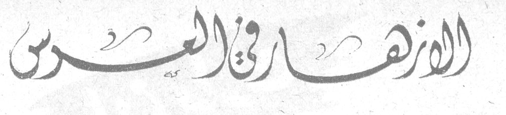 الأزهار في العرس