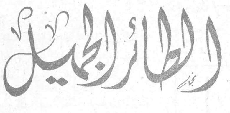 الطائر الجميل