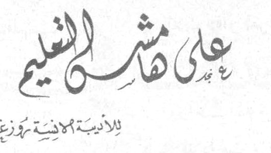 على هامش التعليم — للأديبة اللبنانية نور زغيب