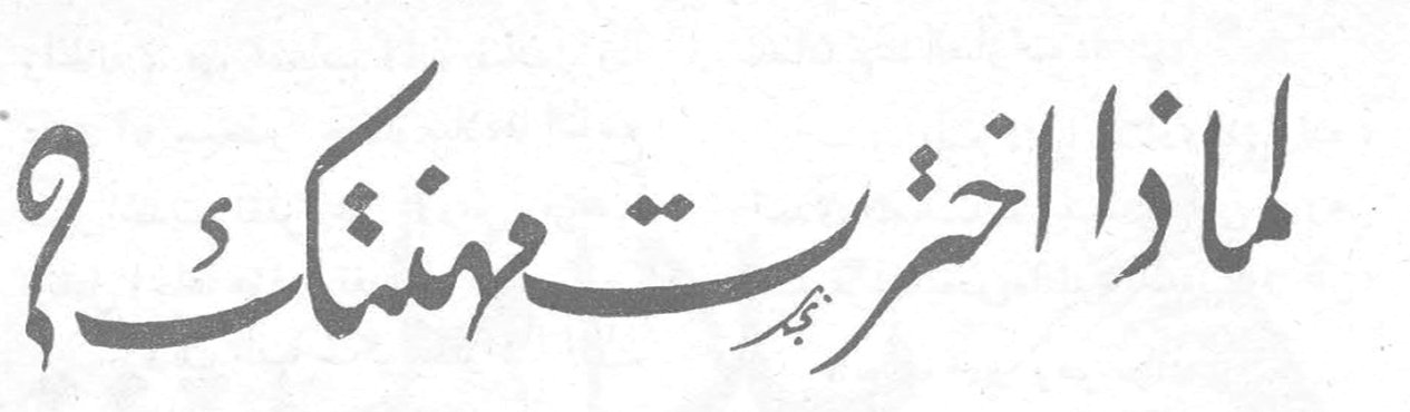 لماذا اخترت مهنتك؟