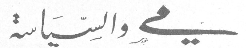 مي والسياسة