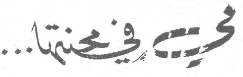 مي في محنتها...