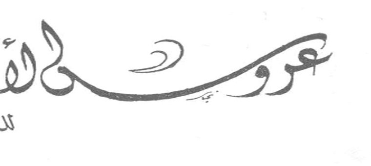 عروس الأدب