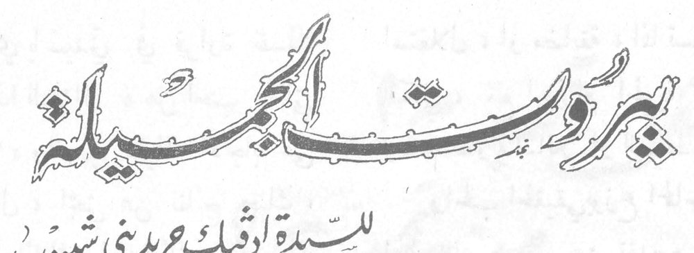 بيروت الجميلة للسيدة اديك جريديني شيبوب
