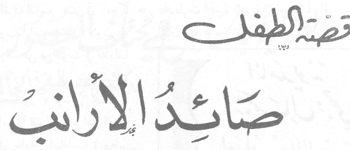 قصة الطفل صائد الأرانب