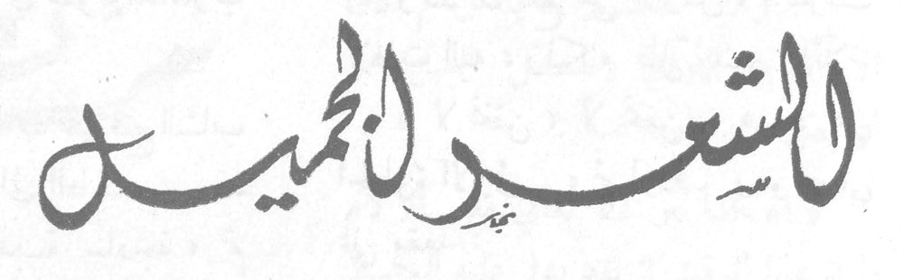 الشعر الجميل