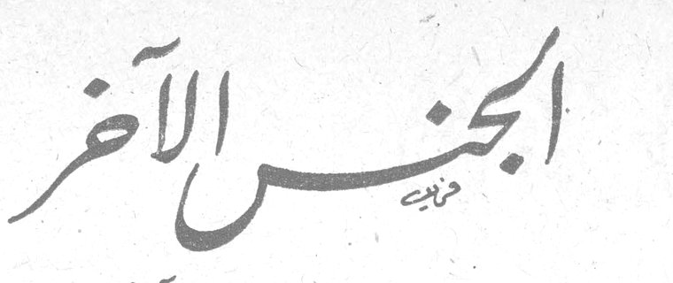 الجنس الآخر الانسه