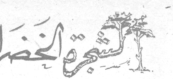 شجر الخضراء