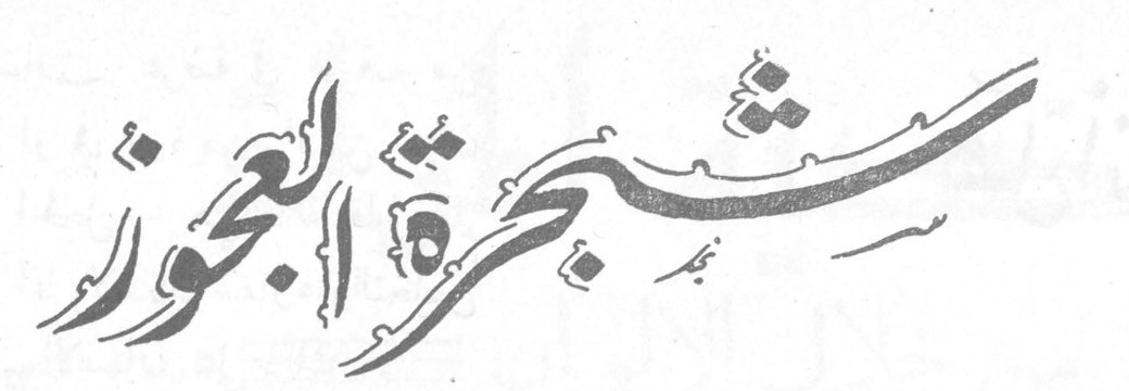 شجرة العجوز