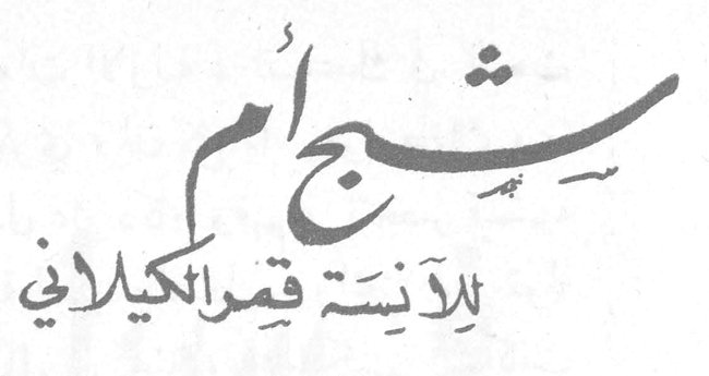 شبح أم — الآنسة فيرا الكيلاني