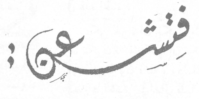فتش عن