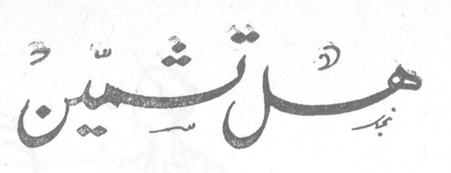 هل تشمّين