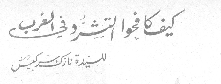 كيف كافحوا التشرد في الغرب — السيدة نازك كركيش