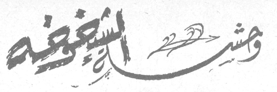 وحشة الشيخوخة