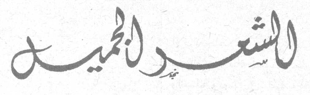 الشعر الجميل