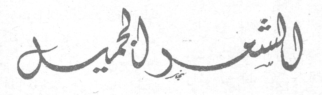 الشعر الجميل