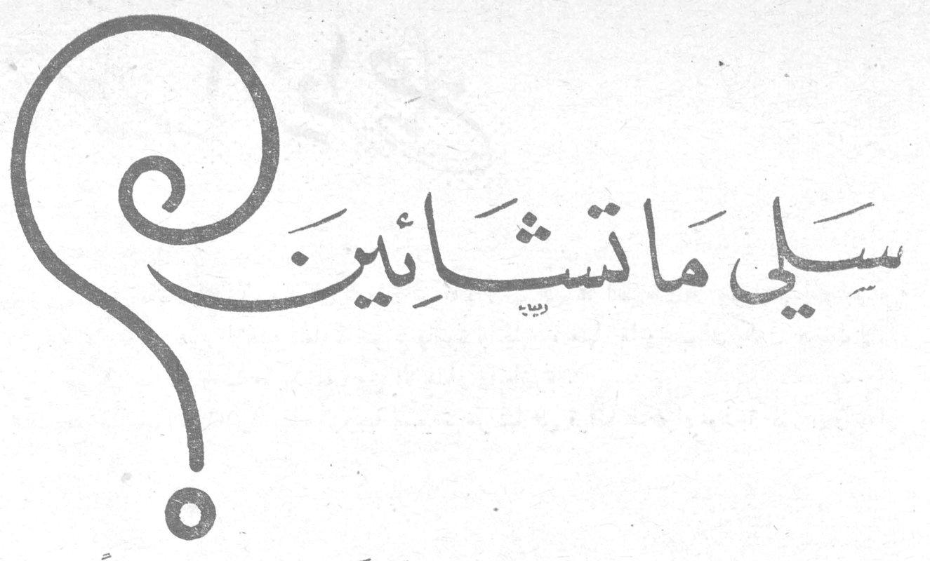 سلي ماتشائين ؟