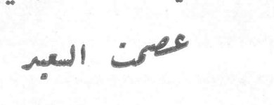 عصمت العبد رئيسة الوفد العراقي عصمت العبد