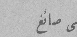 سلمى صائغ سلمي صائغ