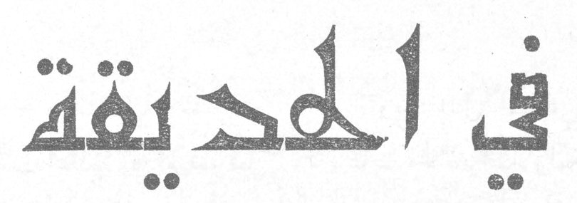 في الحديقة