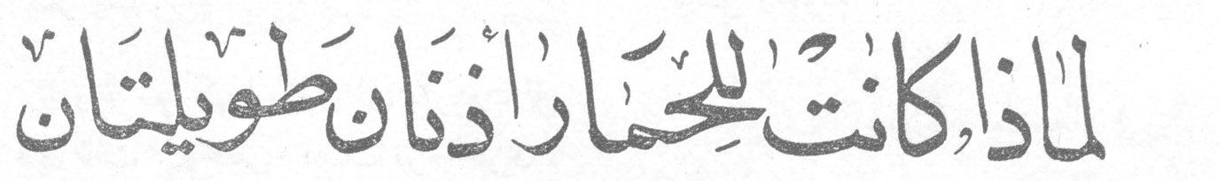 لماذا كانت للحمار أذنان طويلتان