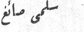 سلمى صائغ