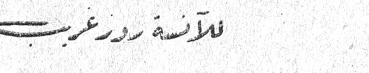 للآنسة رور غرب