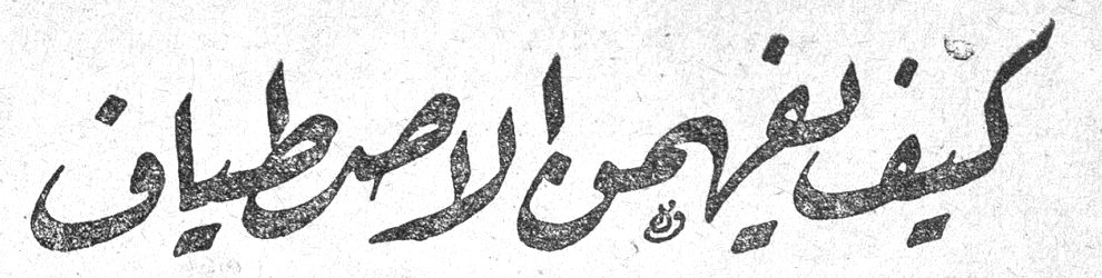 كيف يفرح من الاصطياف