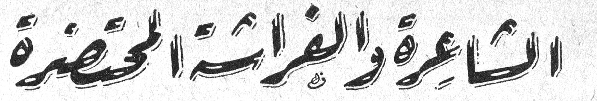 الشاعرة والفراشة المحتضرة
