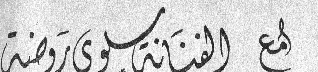 مع الفنانة سلوى روضة