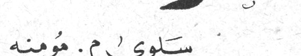سلوى م. مؤمنه