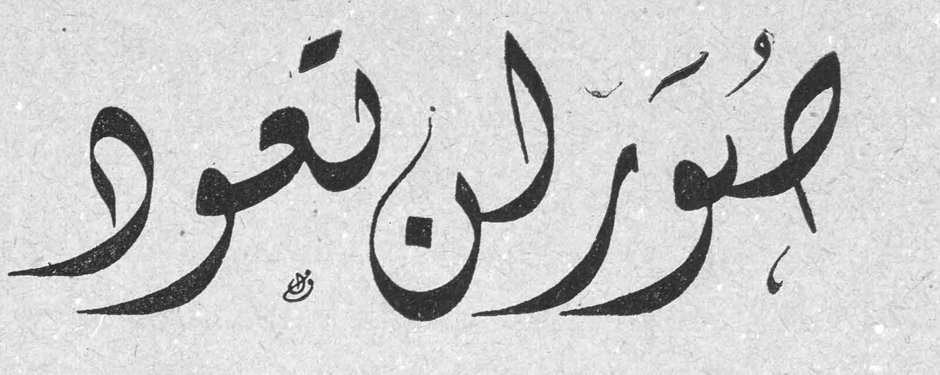 صُوَرٌ لن تعود