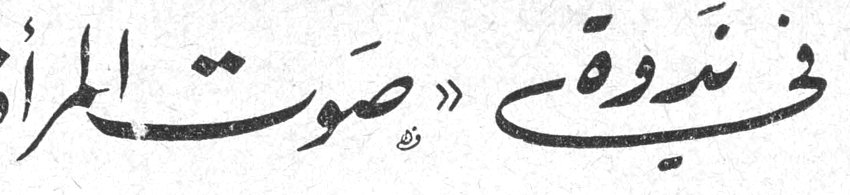 في ندوة «صوت المرأة»