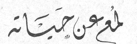 لمع عن حياته