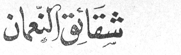 شقائق النعمان
