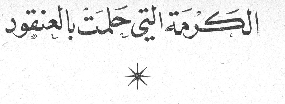 الكرمة التي حلمت بالعنقود