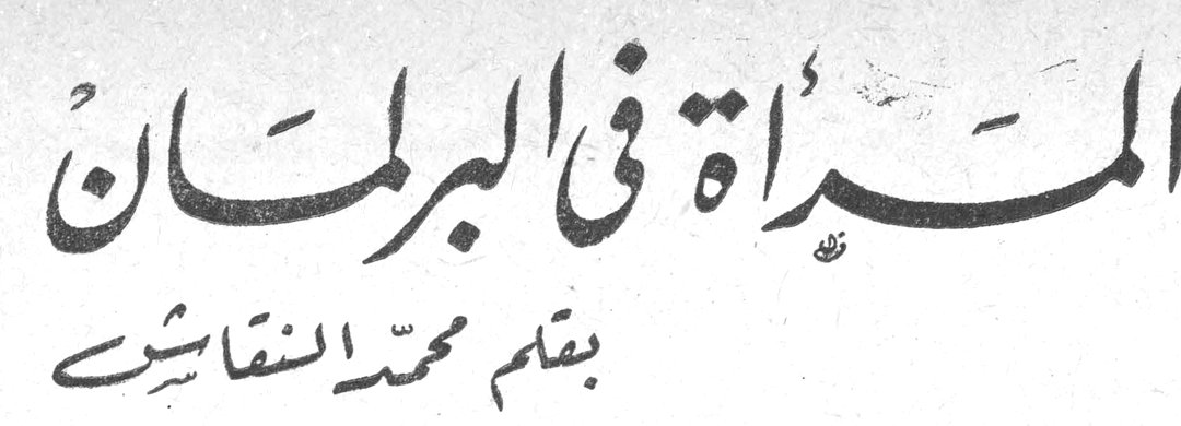 المرأة في البرلمان بقلم محمد النقاش