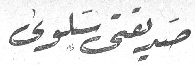 صديقتي سلوى