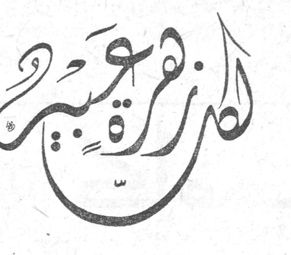 لكل زهرة عبير