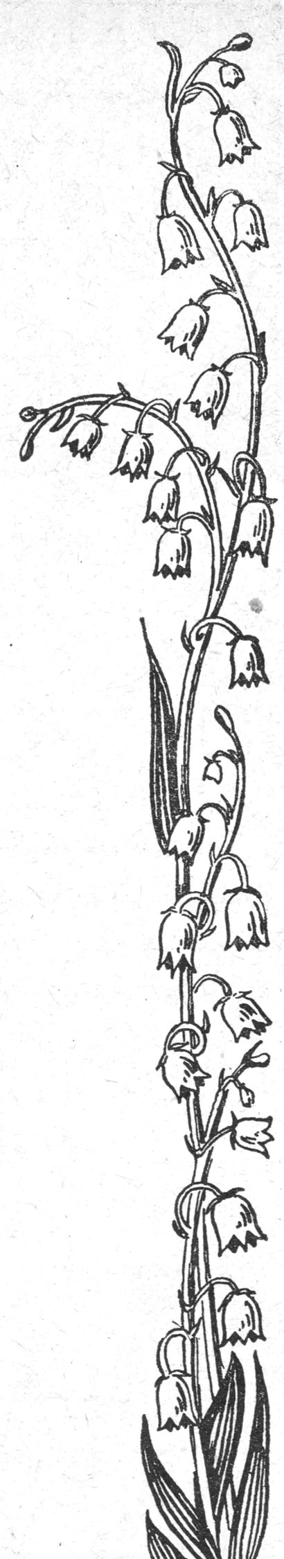 زخرفة زهرية