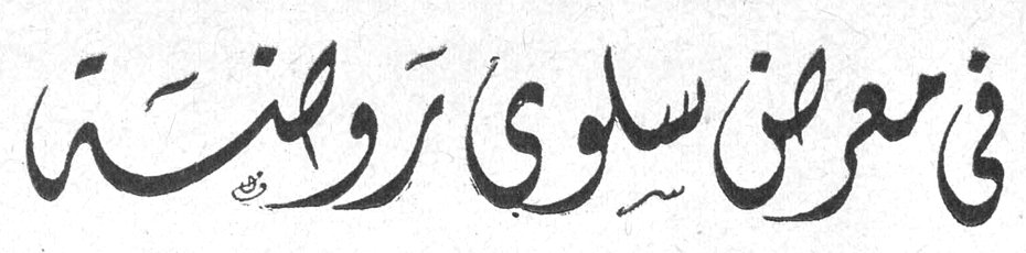 في معرض سلوى روضة