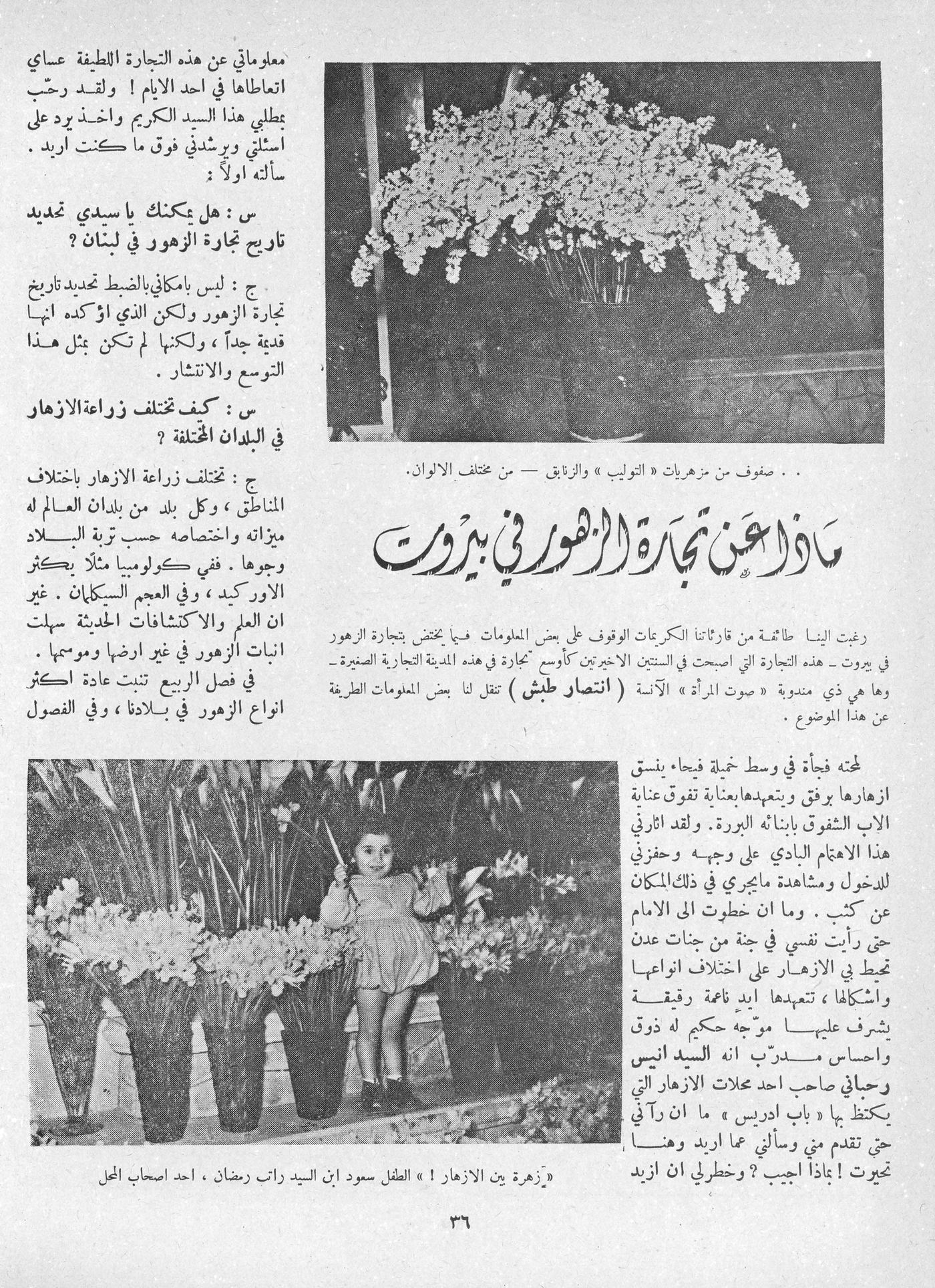 Scan of page 34