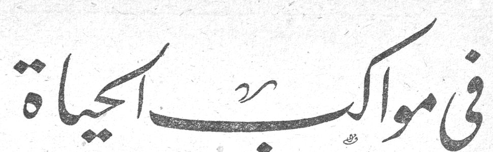 في مواكب الحياة