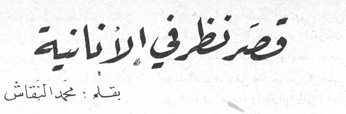 قصر نظر في الأنانية بقلم : محمد النقاش