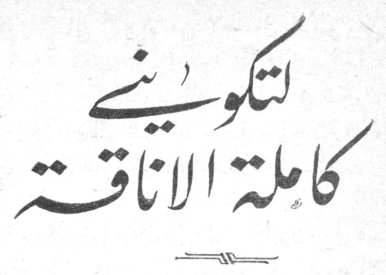 لتكوني كاملة الاناقة
